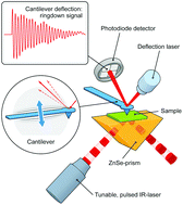 Graphical abstract: Nanoscale resolution in infrared imaging of protein-containing lipid membranes