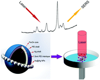 Graphical abstract: Polyethylenimine-interlayered core–shell–satellite 3D magnetic microspheres as versatile SERS substrates