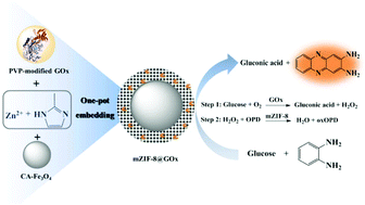 Graphical abstract: Facile synthesis of enzyme-embedded magnetic metal–organic frameworks as a reusable mimic multi-enzyme system: mimetic peroxidase properties and colorimetric sensor