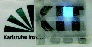 Graphical abstract: All-solution processed transparent organic light emitting diodes