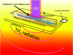 Graphical abstract: Optical field terahertz amplitude modulation by graphene nanoribbons