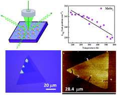 Graphical abstract: Large area chemical vapor deposition of monolayer transition metal dichalcogenides and their temperature dependent Raman spectroscopy studies