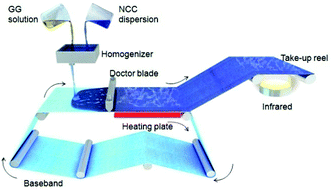 Graphical abstract: Water-soluble nanocrystalline cellulose films with highly transparent and oxygen barrier properties