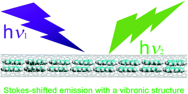 Graphical abstract: Room-temperature Y-type emission of perylenes by encapsulation within single-walled carbon nanotubes