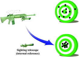 Graphical abstract: Precision improvement in dark-field microscopy imaging by using gold nanoparticles as an internal reference: a combined theoretical and experimental study