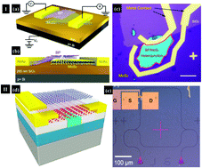 Graphical abstract: Present perspectives of broadband photodetectors based on nanobelts, nanoribbons, nanosheets and the emerging 2D materials