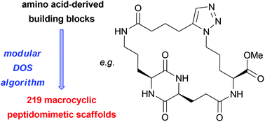 Graphical abstract: A diversity-oriented synthesis strategy enabling the combinatorial-type variation of macrocyclic peptidomimetic scaffolds