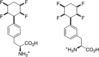 Graphical abstract: Fluorine containing amino acids: synthesis and peptide coupling of amino acids containing the all-cis tetrafluorocyclohexyl motif
