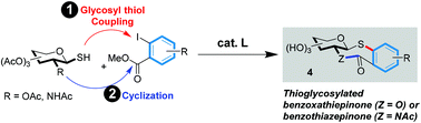 Graphical abstract: Diversity-oriented synthesis of fused thioglycosyl benzo[e][1,4]oxathiepin-5-ones and benzo[f][1,4]thiazepin-5(2H)-ones by a sequence of palladium-catalyzed glycosyl thiol arylation and deprotection–lactonization reactions