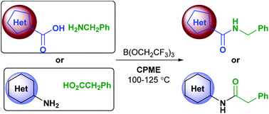 Graphical abstract: B(OCH2CF3)3-mediated direct amidation of pharmaceutically relevant building blocks in cyclopentyl methyl ether