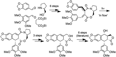 Graphical abstract: Formal synthesis of (−)-podophyllotoxin through the photocyclization of an axially chiral 3,4-bisbenzylidene succinate amide ester – a flow photochemistry approach