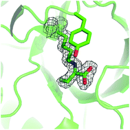 Graphical abstract: Evaluation of fluoropyruvate as nucleophile in reactions catalysed by N-acetyl neuraminic acid lyase variants: scope, limitations and stereoselectivity