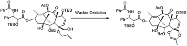 Graphical abstract: A novel C,D-spirodioxene taxoid synthesized through an unexpected Pd-mediated ring cyclization
