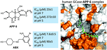 Graphical abstract: Conformationally-locked C-glycosides: tuning aglycone interactions for optimal chaperone behaviour in Gaucher fibroblasts