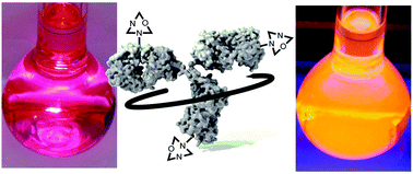 Graphical abstract: Diazaoxatriangulenium: synthesis of reactive derivatives and conjugation to bovine serum albumin