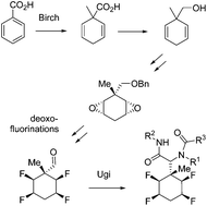 Graphical abstract: Multicomponent reactions of methyl substituted all-cis tetrafluorocyclohexane aldehydes