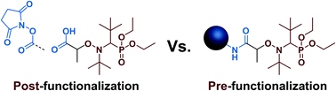 Graphical abstract: On the structure–control relationship of amide-functionalized SG1-based alkoxyamines for nitroxide-mediated polymerization and conjugation