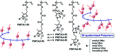 Graphical abstract: Antimicrobial polymethacrylates based on quaternized 1,3-thiazole and 1,2,3-triazole side-chain groups