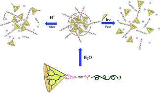 Graphical abstract: Controlled micellar disassembly of photo- and pH-cleavable linear-dendritic block copolymers