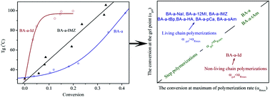 Graphical abstract: A study on the chain propagation of benzoxazine