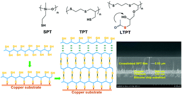 Graphical abstract: A novel and facile strategy to inhibit corrosion: thiol-click synthesis of polythiols and their skinning on a metal surface to form super thick protective films
