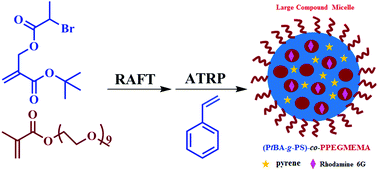 Graphical abstract: (PAA-g-PS)-co-PPEGMEMA asymmetric polymer brushes: synthesis, self-assembly, and encapsulating capacity for both hydrophobic and hydrophilic agents