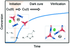 Graphical abstract: Kinetics of bulk photo-initiated copper(i)-catalyzed azide–alkyne cycloaddition (CuAAC) polymerizations