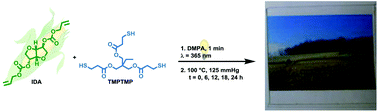 Graphical abstract: Rapidly-cured isosorbide-based cross-linked polycarbonate elastomers