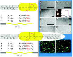 Graphical abstract: Perfluoroalkylated linear polyglycerols and their supramolecular assemblies in aqueous solution