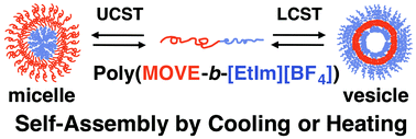 Graphical abstract: Shape-switching self-assembly of new diblock copolymers with UCST-type and LCST-type segments in water