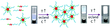 Graphical abstract: Thermoresponsive gels based on ABC triblock copolymers: effect of the length of the PEG side group