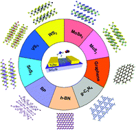 Graphical abstract: Two-dimensional layered nanomaterials for gas-sensing applications