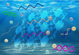 Graphical abstract: An ideal detector composed of a 3D Gd-based coordination polymer for DNA and Hg2+ ion