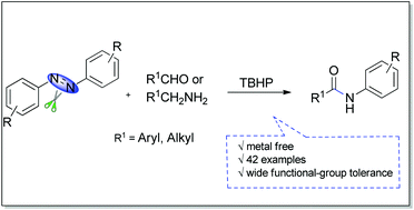 Graphical abstract: Metal free access to amide compounds via peroxide-mediated N [[double bond, length as m-dash]] N double bond cleavage of azobenzenes