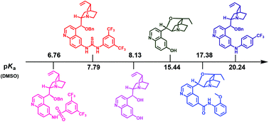 Graphical abstract: Equilibrium acidities of cinchona alkaloid organocatalysts bearing 6′-hydrogen bonding donors in DMSO