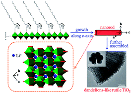Graphical abstract: One-pot synthesis of 3-D dandelion-like architectures constructed by rutile TiO2 nanorods grown along [001] axis for high-rate lithium ion batteries