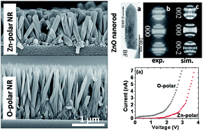 Graphical abstract: Growth of a polarity controlled ZnO nanorod array on a glass/FTO substrate by chemical bath deposition
