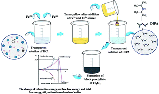 Graphical abstract: Synthesis and magnetostructural studies of amine functionalized superparamagnetic iron oxide nanoparticles