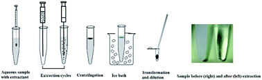 Graphical abstract: Determination of benzoylurea insecticides in environmental water and honey samples using ionic-liquid-mingled air-assisted liquid–liquid microextraction based on solidification of floating organic droplets