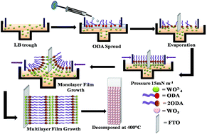 Graphical abstract: Langmuir–Blodgett self organized nanocrystalline tungsten oxide thin films for electrochromic performance