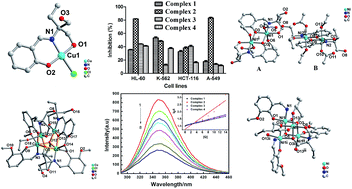 Graphical abstract: DNA/protein interaction, cytotoxic activity and magnetic properties of amino-alcohol Schiff base derived Cu(ii)/Ni(ii) metal complexes: influence of the nuclearity and metal ions
