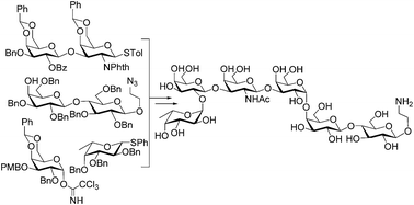 Graphical abstract: Chemical synthesis of the tumor-associated globo H antigen