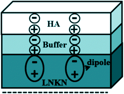 Graphical abstract: Piezoelectric sodium potassium niobate mediated improved polarization and in vitro bioactivity of hydroxyapatite