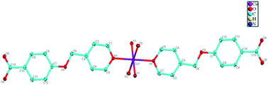 Graphical abstract: Synthesis and crystal structure determination of a mononuclear cobalt(ii) complex derived from 4-(pyridin-4-ylmethoxy)-benzoic acid: evaluation of the DNA/protein interaction and photo-induced pBR322 DNA cleavage