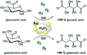 Graphical abstract: Selective oxidation of uronic acids into aldaric acids over gold catalyst