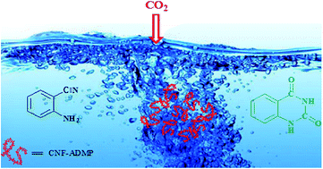 Graphical abstract: Amino-functionalized carbon nanofibres as an efficient metal free catalyst for the synthesis of quinazoline-2,4(1H,3H)-diones from CO2 and 2-aminobenzonitriles