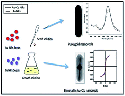 Graphical abstract: Hybrid magnetic–plasmonic nanocomposite: embedding cobalt clusters in gold nanorods