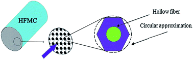 Graphical abstract: Computational simulation of CO2 removal from gas mixtures by chemical absorbents in porous membranes