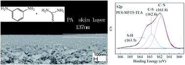 Graphical abstract: Polyamide thin film composite membrane using mixed amines of thiourea and m-phenylenediamine