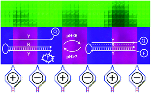 Graphical abstract: Electronic pH switching of DNA triplex reactions
